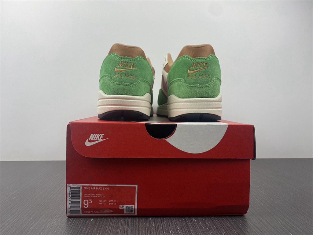 Nike Air Max 1 NH Treeline DR9773-300